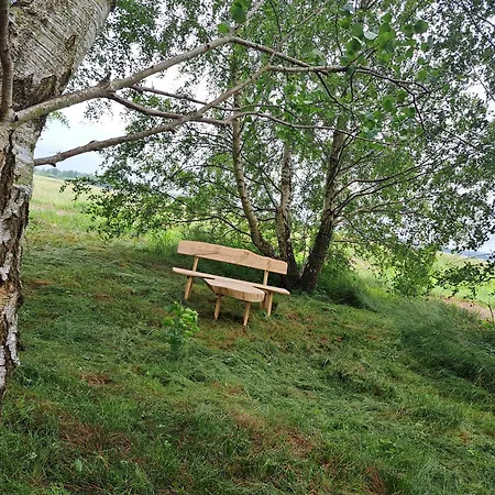 Brzozowy Zakatek Apartman *